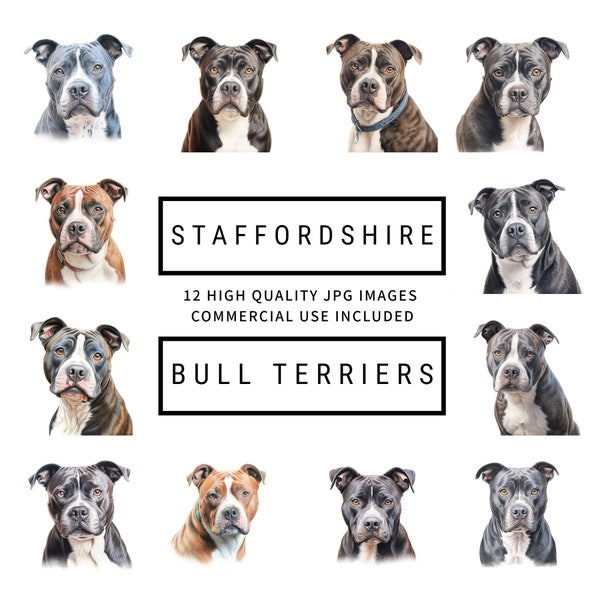 Staffordshire Bull Terrier Clipart - 12 JPG de haute qualité, Planificateurs numériques, Journaux indésirables, Scrapbooking, Utilisation commerciale, Téléchargement numérique