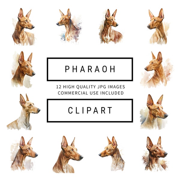 Pharaoh Dog Clipart - 12 High Quality JPGs - Digital Planner, Junk Journaling, Watercolor, Wall Art, Commercial Use - Digital Download