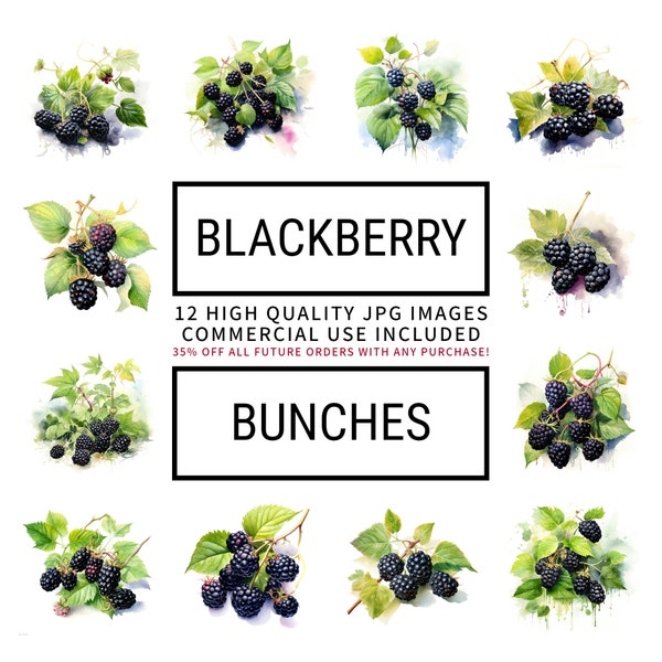 Blackberry Bunches Clipart - 12 High Quality JPGs, Digital Planner, Junk Journal, Wall Art, Memory Book, Commercial, Craft, Digital Download