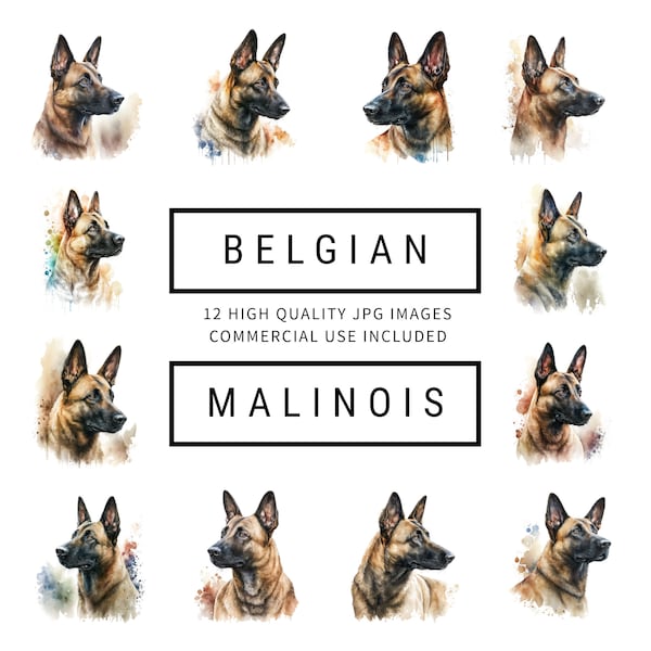 Belgian Malinois Clipart - 12 High Quality JPGs - Digital Planner, Junk Journals, Watercolor, Wall Art, Commercial Use, Digital Download