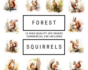 Forest Squirrels - 12 High Quality JPGs, Digital Planners, Scrapbooking, Junk Journals, Memory Books, Commercial Use, Digital Download