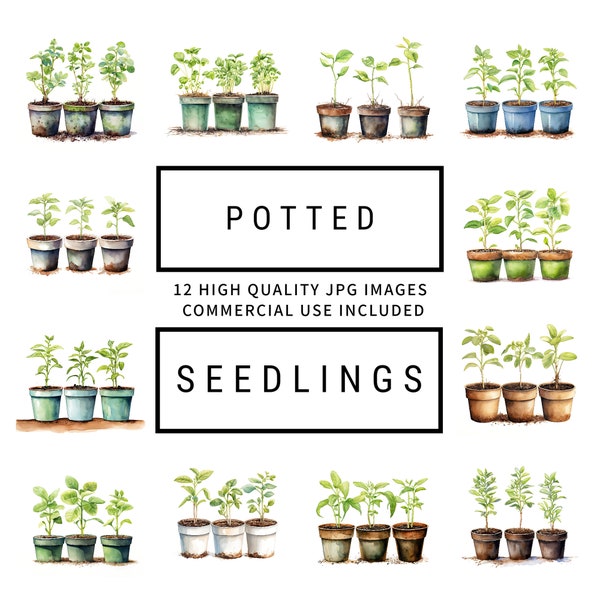 Potted Seedlings Clipart - 12 High Quality JPGs, Digital Planner, Junk Journaling, Wall Art, Memory Book, Commercial Use, Digital Download