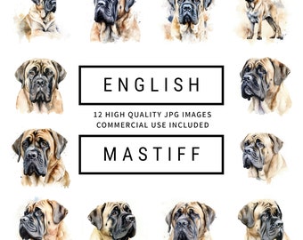 English Mastiff Clipart - 12 High Quality JPGs, Digital Planners, Junk Journals, Gifts, Apparel, Commercial Use, Instant Digital Download