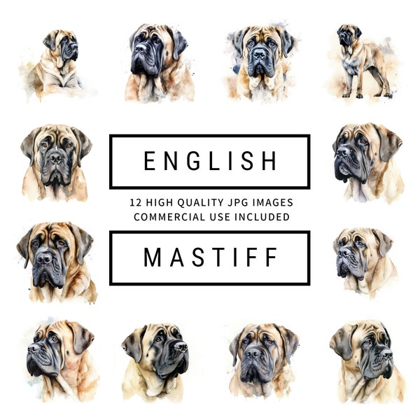 English Mastiff Clipart - 12 High Quality JPGs, Digital Planners, Junk Journals, Gifts, Apparel, Commercial Use, Instant Digital Download