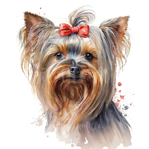 Yorkshire Terrier Clipart - 10 JPG de haute qualité - Artisanat de papier numérique, planificateur numérique, tasses, vêtements, aquarelle - téléchargement numérique