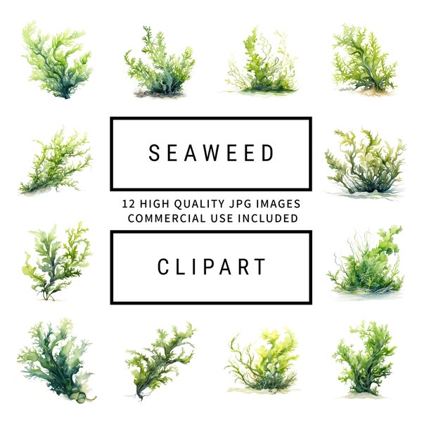 Seaweed Clipart - 12 High Quality JPGs, Digital Planners, Junk Journals, Scrapbook, Memory Books, Collage, Commercial Use, Digital Download