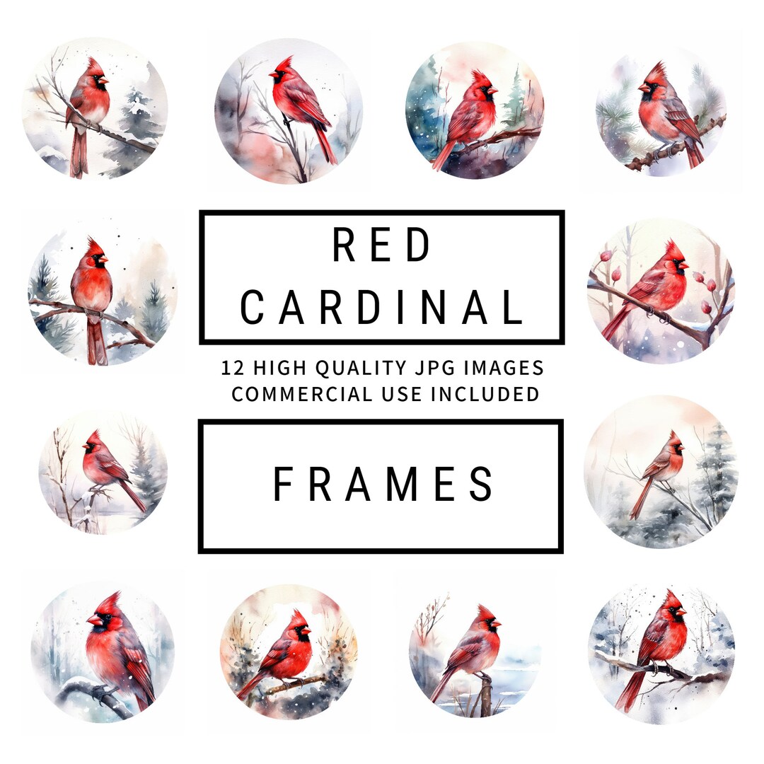Red Cardinal Frames Clipart 12 High Quality Jpgs, Digital Planner, Junk