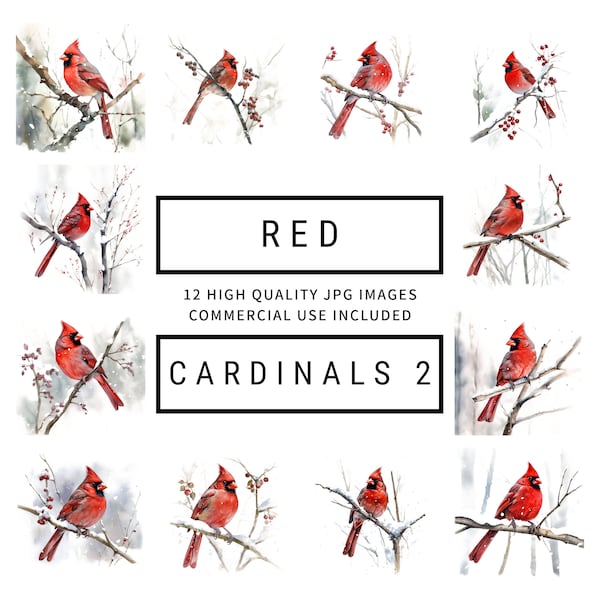 Red Cardinal (Set 2) Clipart - 12 High Quality JPGs - Digital Planner, Journals, Watercolor Art, Wall Art, Commercial Use - Digital Download