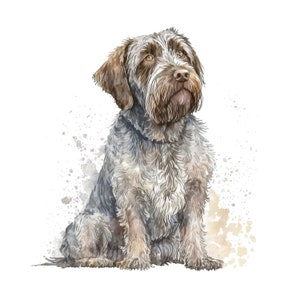 Wirehaired Pointing Griffon Clipart 10 High Quality Jpgs - Etsy