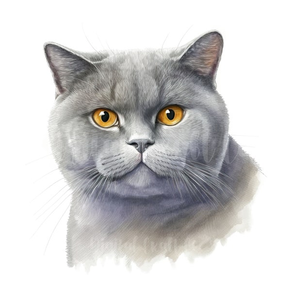 British Shorthair Cats Clipart - 11 High Quality JPGs - Digital Paper Crafting, Digital Planner, Apparel, Watercolor - Digital Download
