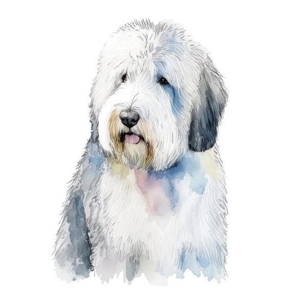 Old English Sheepdog Dog Birthday Edible 2D Fondant Birthday 