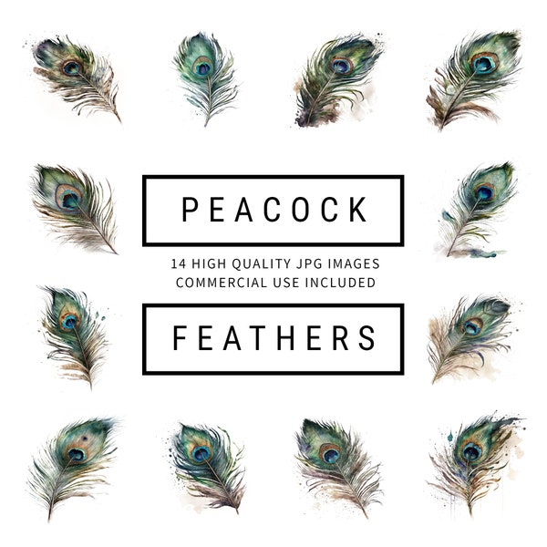 Peacock Feather Clipart - 14 High Quality JPGs - Digital Planner, Junk Journaling, Watercolor, Wall Art, Commercial Use - Digital Download