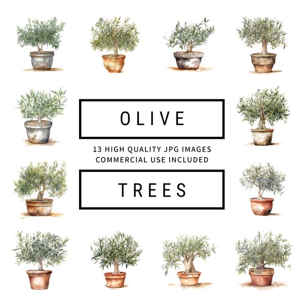Olive Tree Clipart - 13 High Quality JPGs - Digital Planners, Junk Journaling, Watercolor, Wall Art, Commercial Use, Digital Download