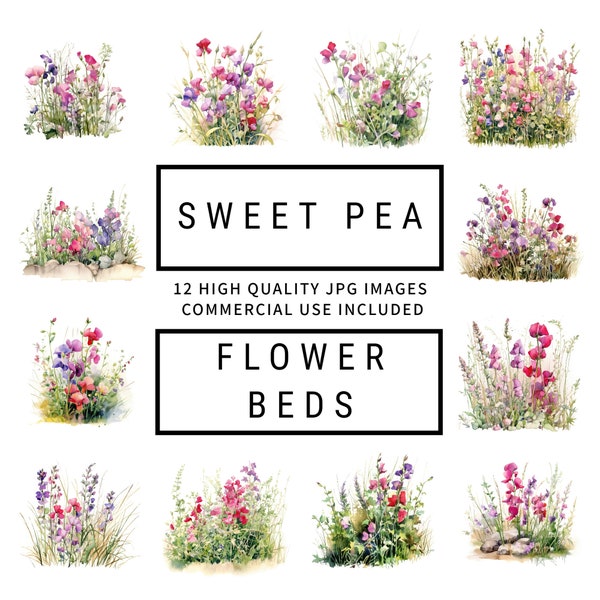 Sweet Pea Flower Beds Clipart - 12 High Quality JPGs, Digital Planner, Junk Journals, Scrapbooks, Wall Art, Commercial Use, Digital Download