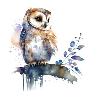 Owl Clipart - 10 High Quality JPGs - Set 2 - Digital Download - Card Making, Clip Art, Digital Paper Craft