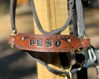 Custom Leather Bronc Halter