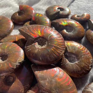 Natural Polished Rainbow Ammolite Fossil Crystal, Ammolite Fossil Specimen From Madagascar