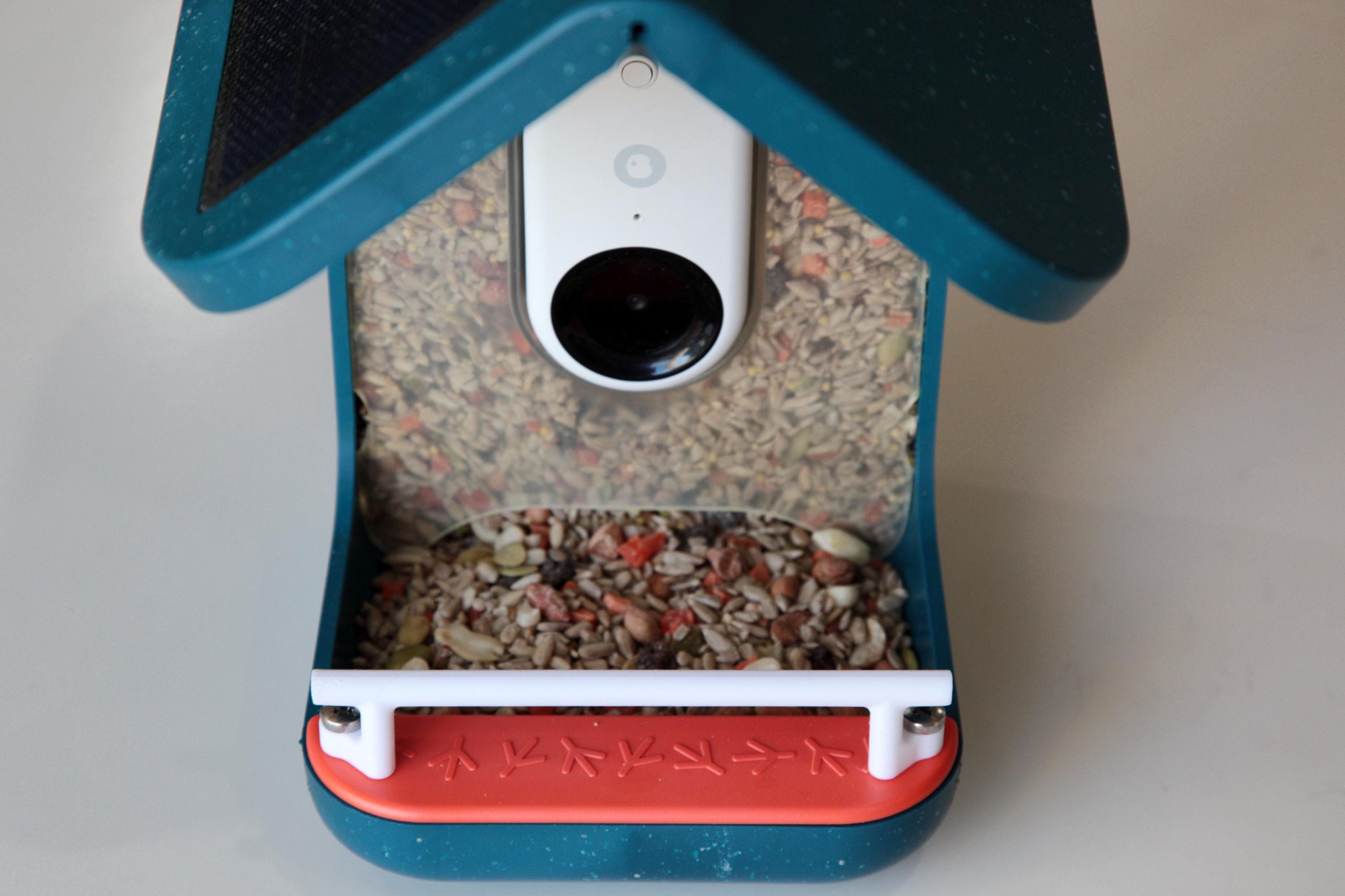 Single Bar Perch Add-on for Bird Buddy - Does Not Include Bird Buddy ...