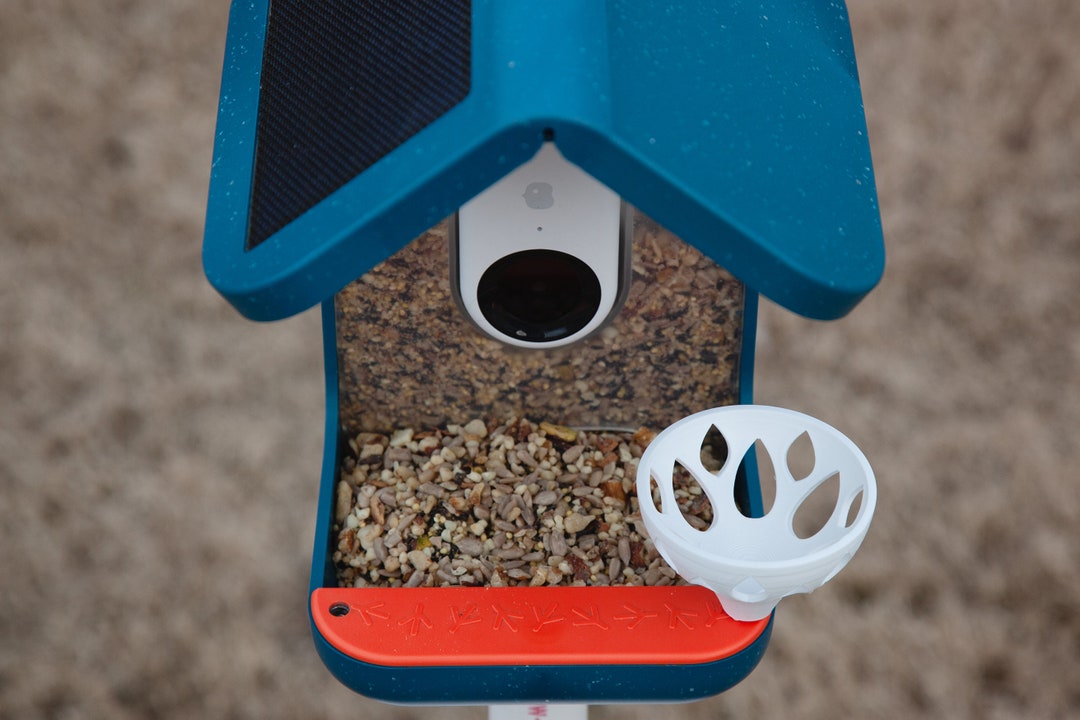 Suet Holder Cup for Bird Buddy Bird Feeder With Stainless Steel Screw