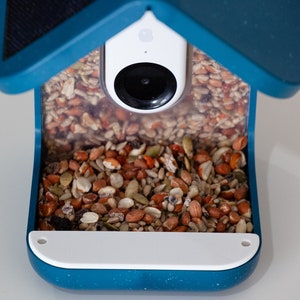 Replacement Perch for Bird Buddy stock perch - with threaded brass inserts for accessories - does not include Bird Buddy bird feeder