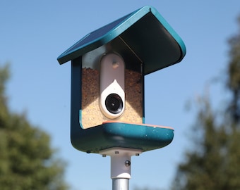 Bird Buddy Set Nutrizionale 3 In 1, Accessori Per Uccelli Da - Foto 5