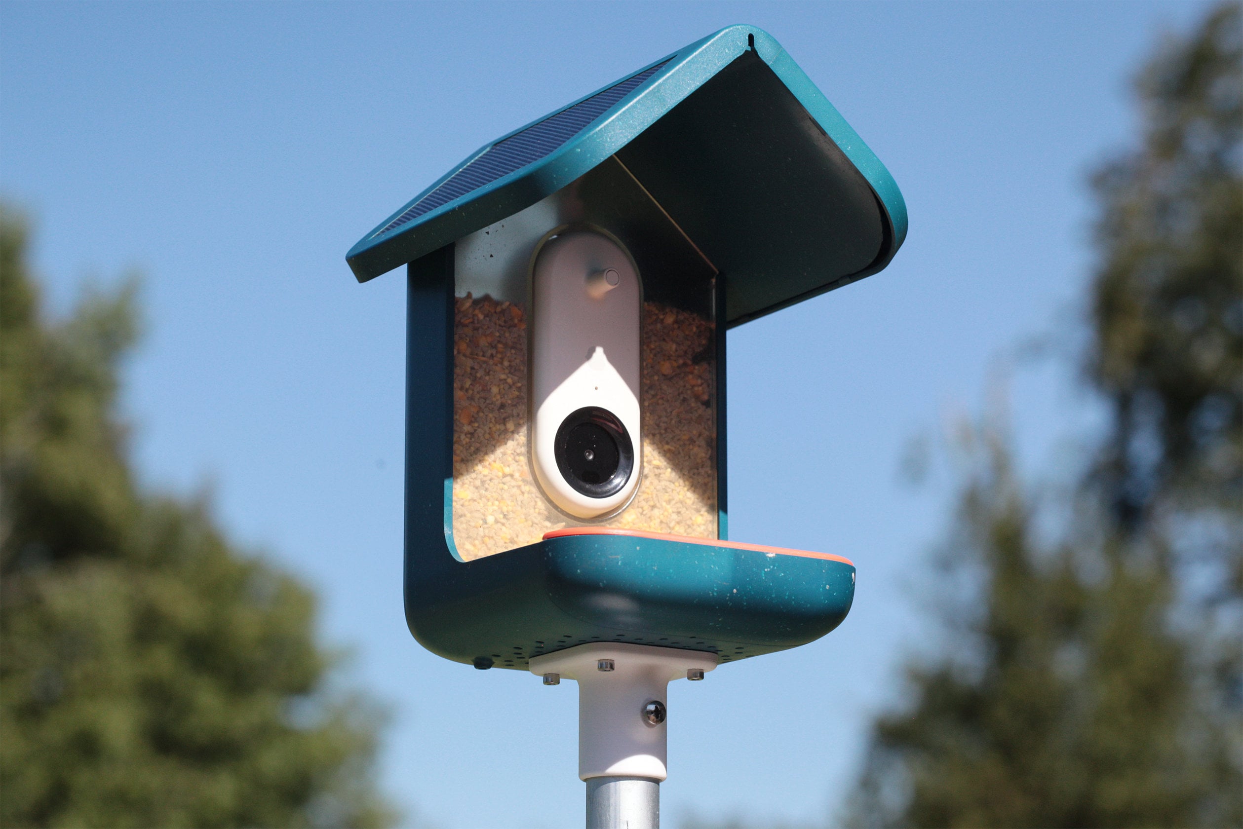 Tips for Setting Up the Bird Buddy and Mounting the Feeder Using the Wall  Mount with the APS 