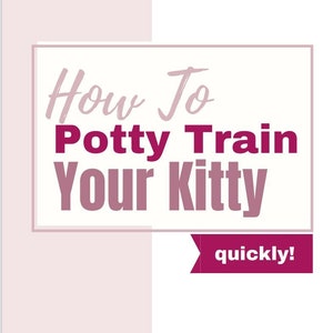 Könnte beinhalten: Eine rosa und weiße Grafik mit dem Text "How To Potty Train Your Kitty quickly!" in einem weißen Kasten mit rosa Rand. Der Text ist in fetter, dunkelrosa Schrift.