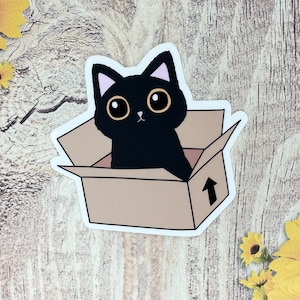 Cat in Box Sticker, Black Cat Sticker, Bookish Cat Sticker, Gifts for her, Gifts for him, Funny Cat Sticker, Waterproof Stickers, Kindle