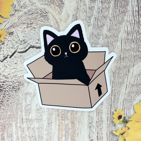 Cat in Box Sticker, Black Cat Sticker, Bookish Cat Sticker, Gifts for her, Gifts for him, Funny Cat Sticker, Waterproof Stickers, Kindle