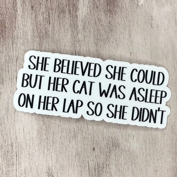 She believed she could Sticker, Waterproof Stickers, Vinyl Stickers, Phone Case Stickers, Funny Stickers, Hot mess stickers