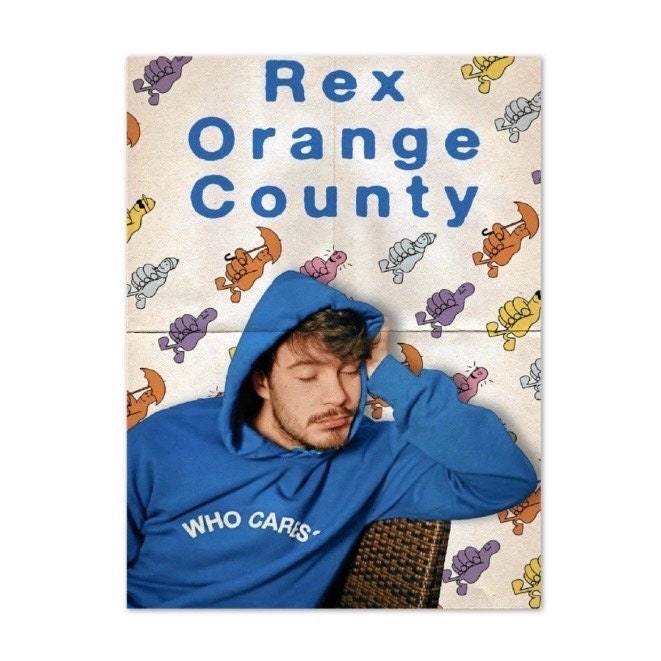 Rex Orange County Poster Limited Edition Print Indie Etsy Australia