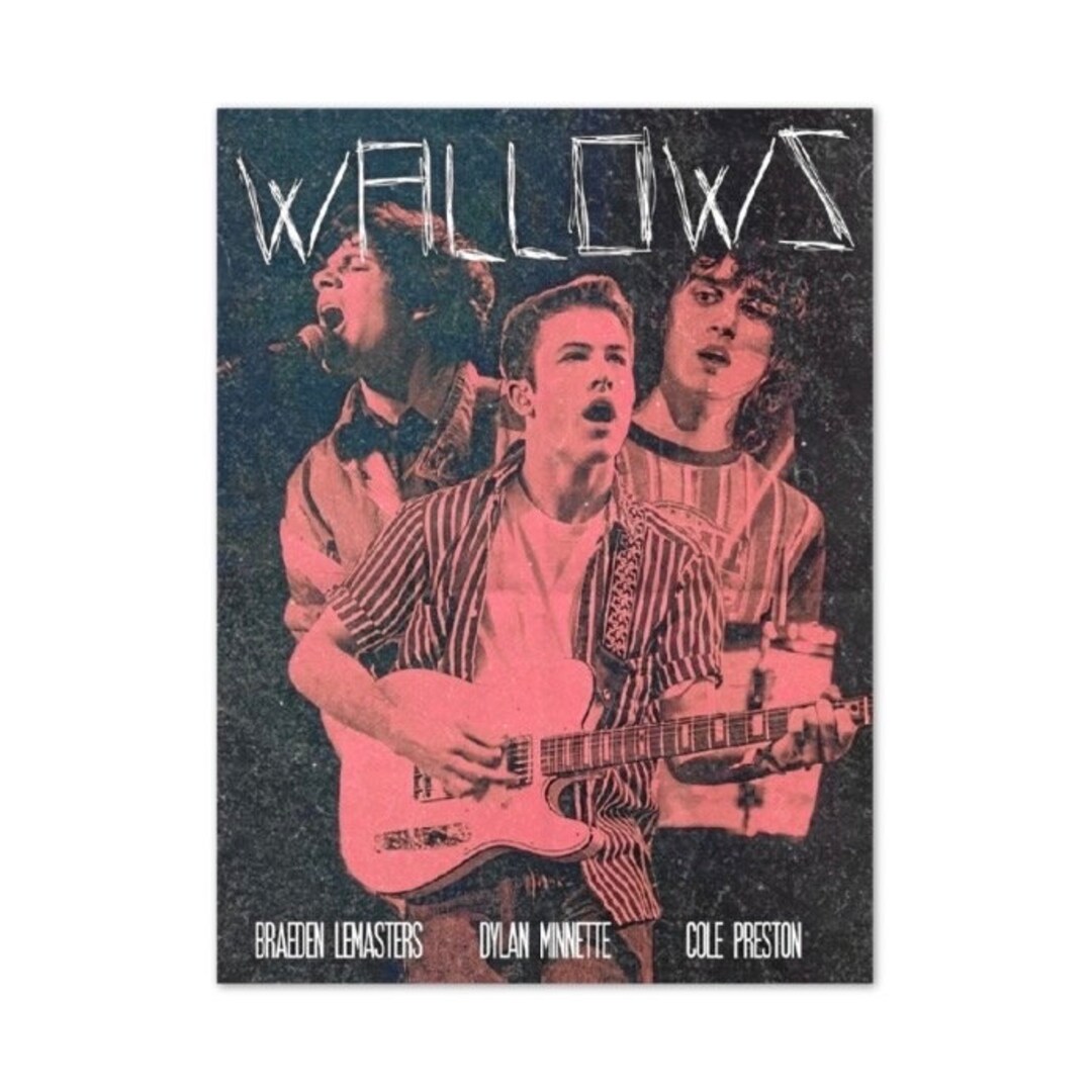 Wallows Poster Limited Edition Print Indie Poster - Etsy