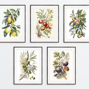 Vintage citrus print set, Vintage Lemon art print, Mediterranean art, Olive print, Kitchen Printable Art, Fruit Market Botanical Art,