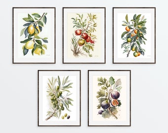 May include: Five framed watercolor paintings of different fruit trees. The paintings feature lemons, pomegranates, oranges, olives, and figs.