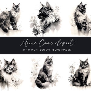Clipart floral Maine Coon, peinture à l'encre, produit numérique, téléchargement immédiat, art mural Maine Coon, papier numérique, scrapbooking, art mural chat