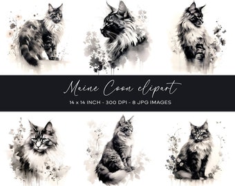 Imágenes prediseñadas florales de Maine Coon, pintura a tinta, producto digital, descarga instantánea, arte mural de Maine Coon, papel digital, scrapbooking, arte mural de gatos