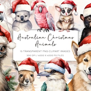 Australische Tiere Weihnachten Clipart, Känguru Clipart, Koala Clipart, Sugar Glider Clipart, Dingo Clipart, Scrapbooking