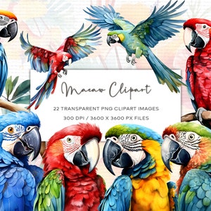 Ara Aquarell Clipart Set, Ara Illustration, Ara Clipart PNG, transparenter Hintergrund, Tier Aquarell Clipart, Instant Download