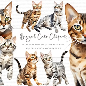 Clipart aquarelle chat du Bengale, clipart chat du Bengale, clipart pour animaux de compagnie, chaton Clipart, PNG Transparent, Clipart aquarelle, téléchargement numérique