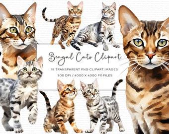 Watercolor Bengal Cat Clipart Set, Transparent PNG (Digital Download)