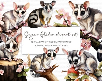 Sugar Glider Watercolor Clipart, Sugar Glider Illustration, Transparent Background, Animal Watercolor Clipart, Instant Download