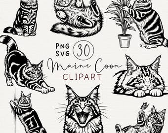 Imagen SVG de Maine Coon, imágenes prediseñadas de Maine Coon, paquete de imágenes prediseñadas de gatos, silueta de gato, SVG de gato lindo, imágenes prediseñadas de mascotas, descarga digital