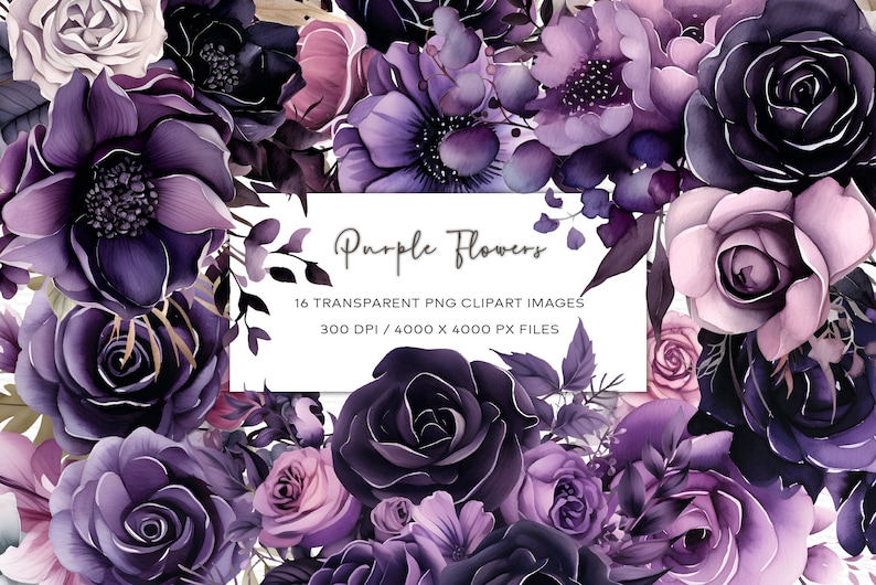 May include: A bouquet of purple and pink flowers with a white background and text that reads "Purple Flowers 16 TRANSPARENT PNG CLIPART IMAGES 300 DPI / 4000 X 4000 PX FILES"