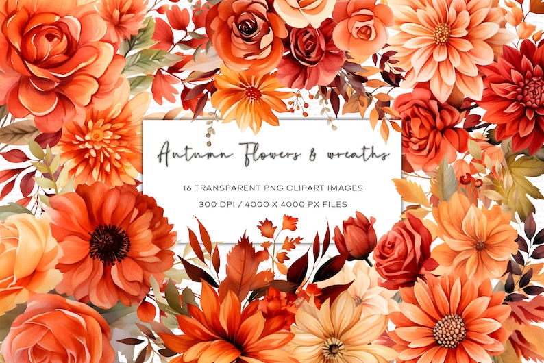 Puede incluir: Una colecci&oacute;n de 16 im&aacute;genes digitales de clipart que presentan flores y coronas de oto&ntilde;o de estilo acuarela en tonos naranja, rojo y amarillo. Las im&aacute;genes son de 300 DPI y 4000 x 4000 p&iacute;xeles.