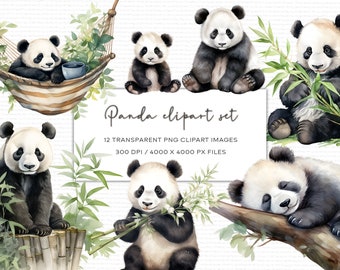 Panda Watercolor Clipart Set, Panda Illustration, Panda Clipart PNG, Transparent Background, Animal Watercolor Clipart, Instant Download