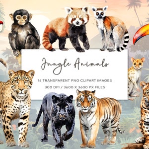Aquarell Dschungel Tiere Clipart, Hintergrund Trasparent, Exotische Tiere, Tier Geschenk, Süße Tiere Clipart, Tiger, Leopard, Panther, Papagei