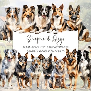 Shepherd Dogs Watercolor Clipart, Collie Clipart, German Shepherd Clipart, Kelpie Clipart, Cattle Dog Clipart, Watercolor Clipart