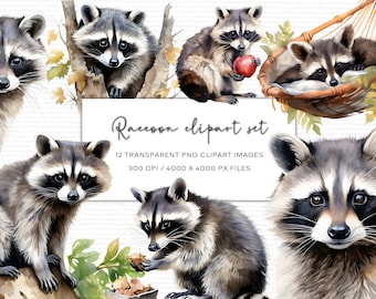 Imágenes Prediseñadas de acuarela de mapache, Ilustración de mapache, PNG transparente, Imágenes prediseñadas de acuarela de animales, Descarga instantánea, Uso comercial, Arte de mapache
