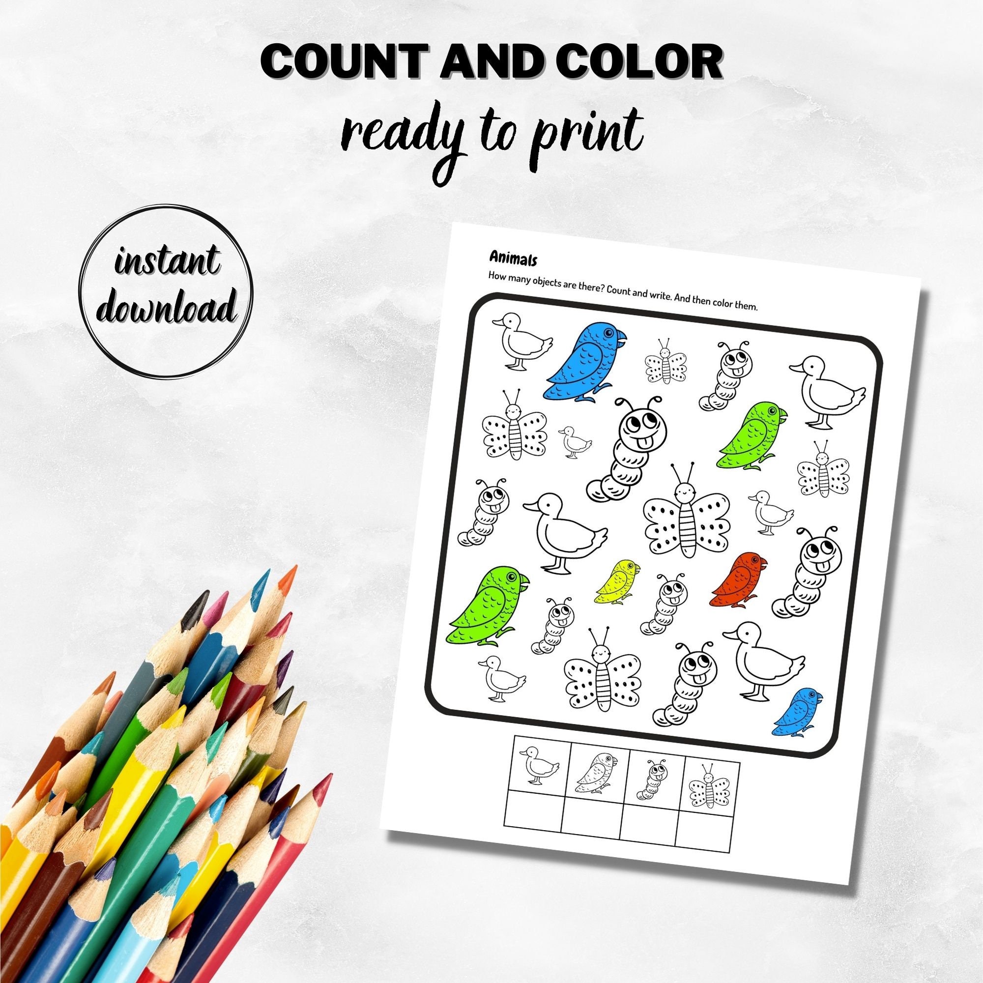 Count And Color Activity