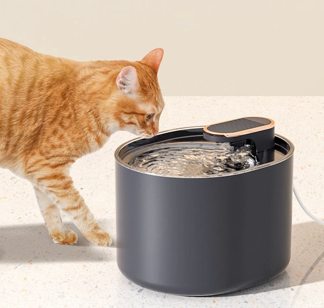 auto cat waterer